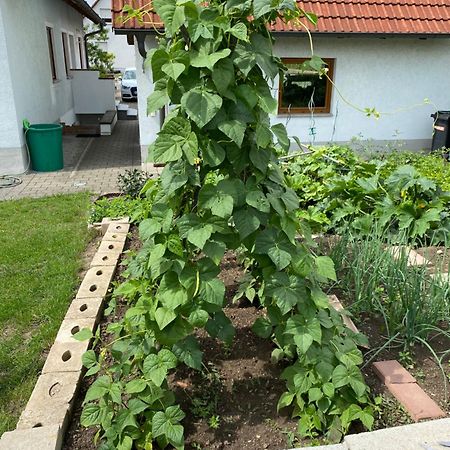 Ferienwohnung Eibenweg Gebsattel Exterior foto