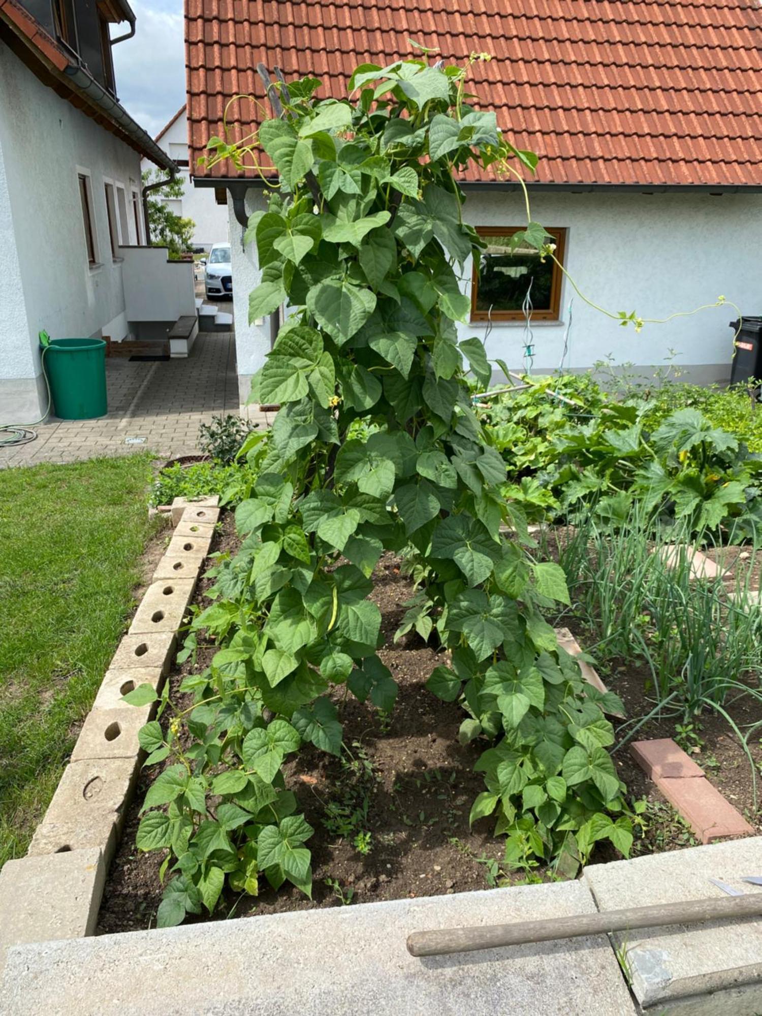 Ferienwohnung Eibenweg Gebsattel Exterior foto